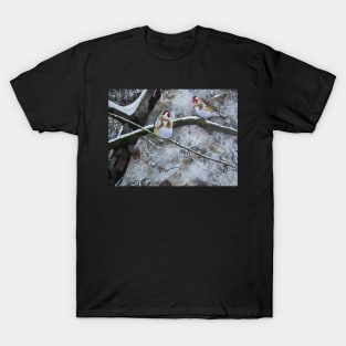 Goldfinches in the snow T-Shirt